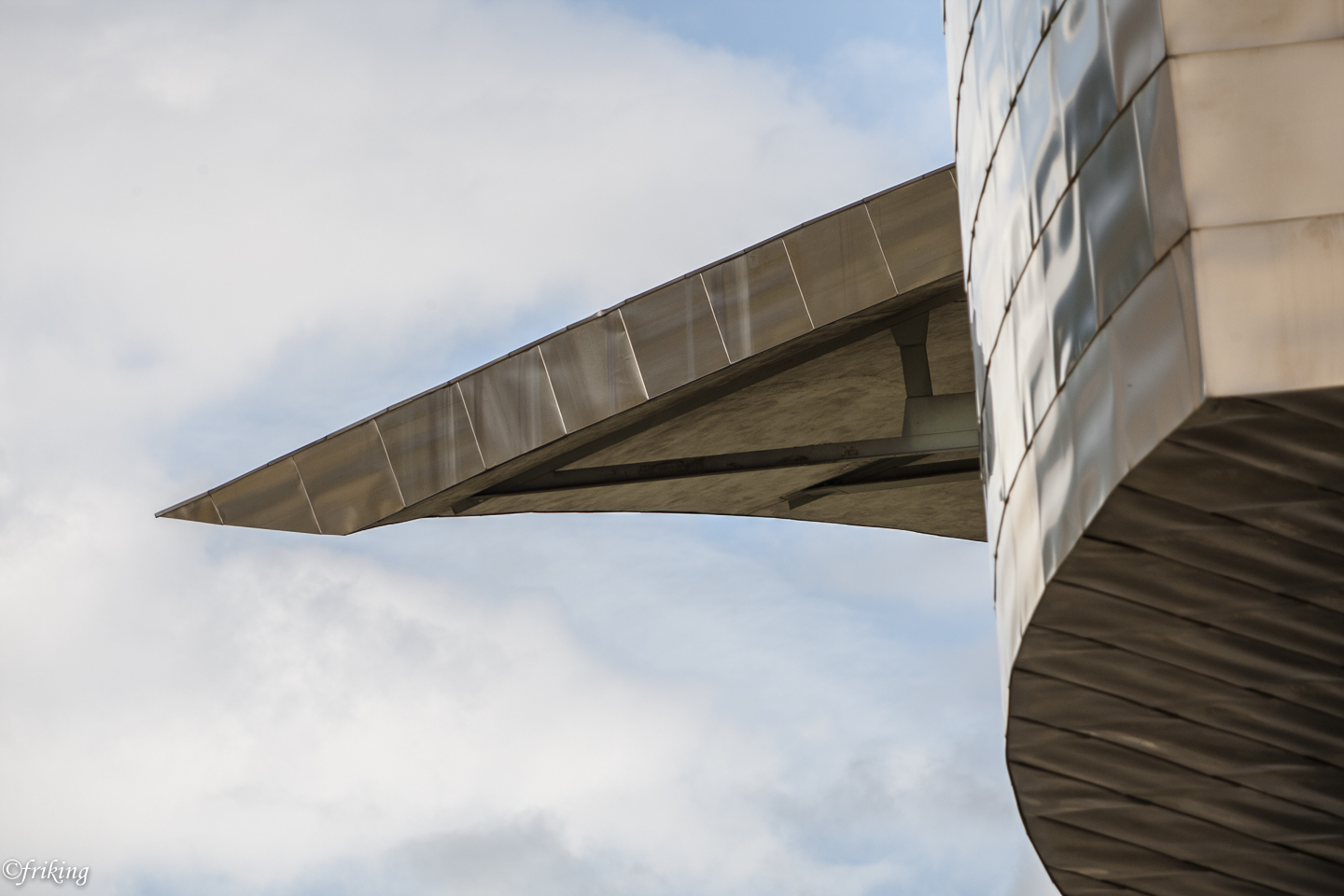 Particular Museo Guggenheim Bilbao