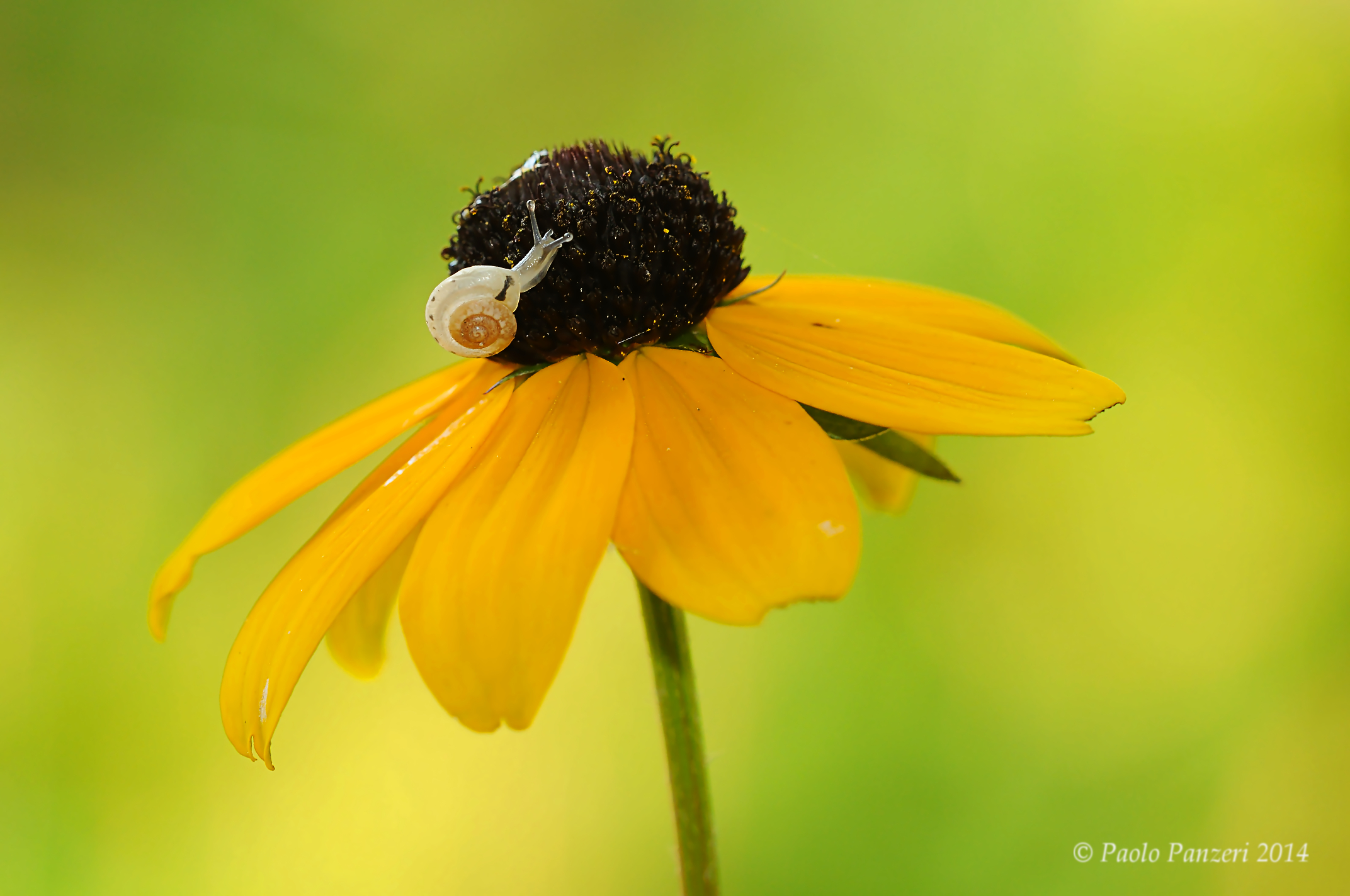 Mi piace puntare in alto