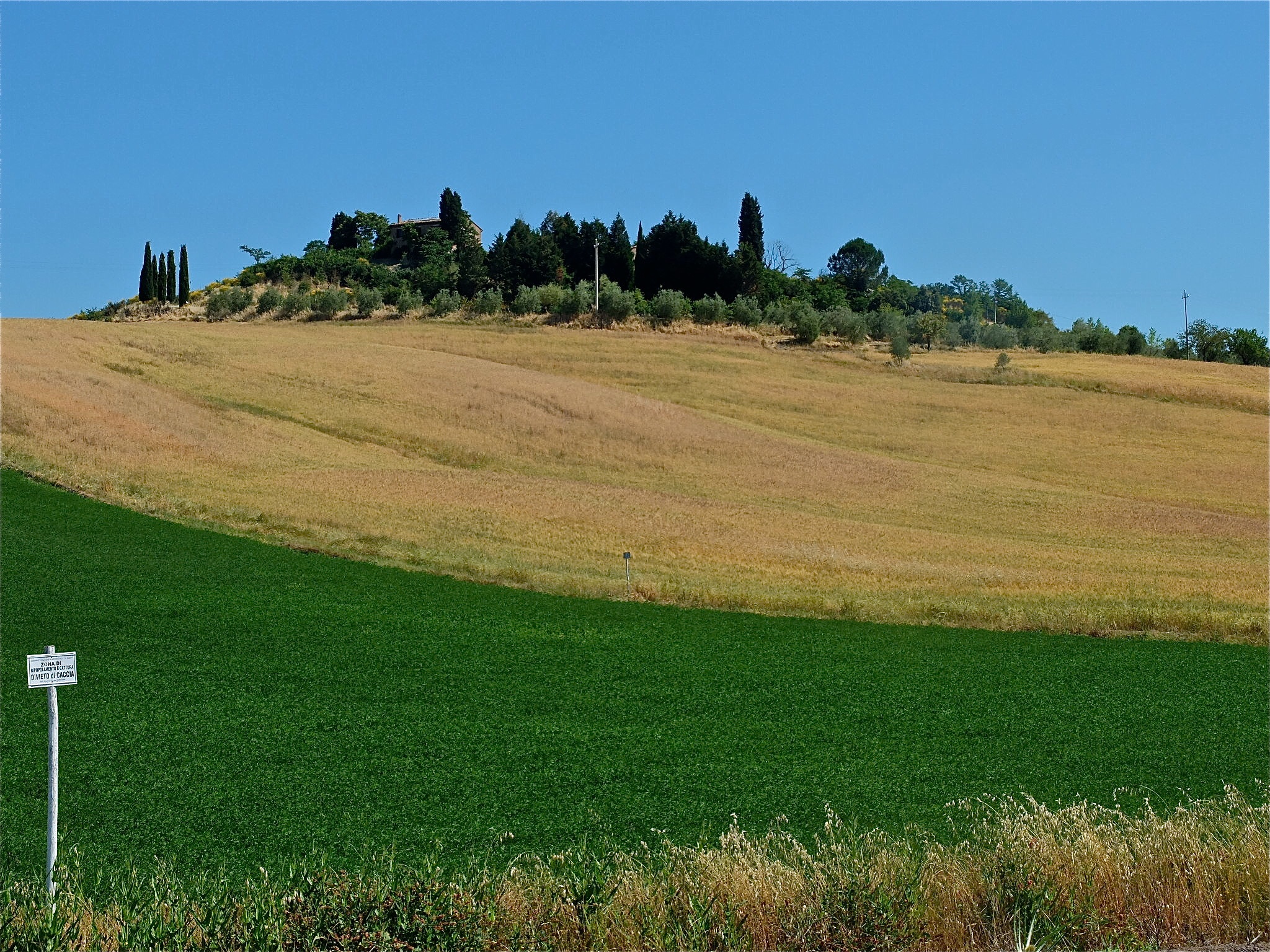 Terre senesi3