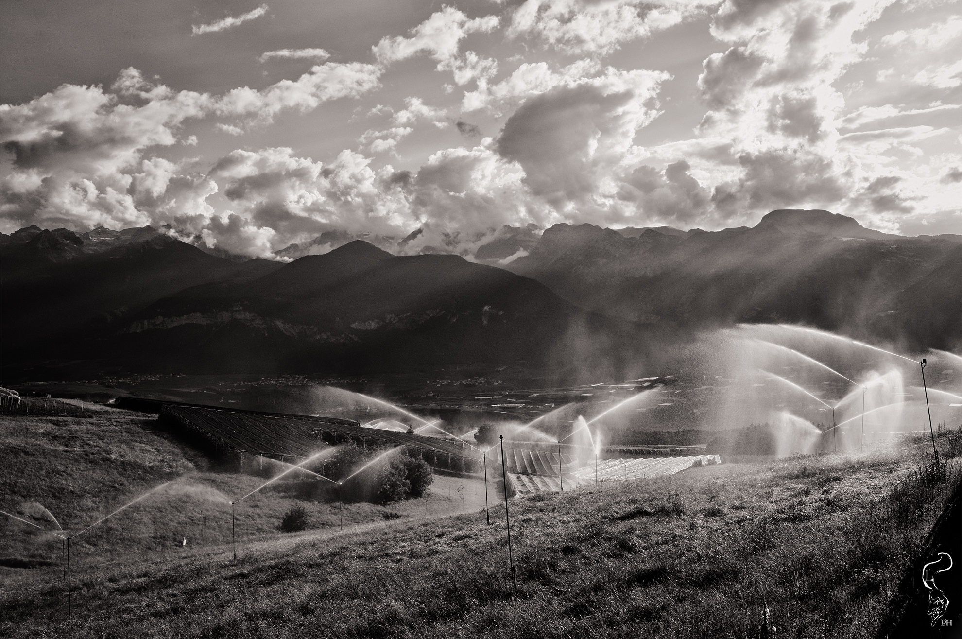 Terra, Aria, Acqua e Fuoco