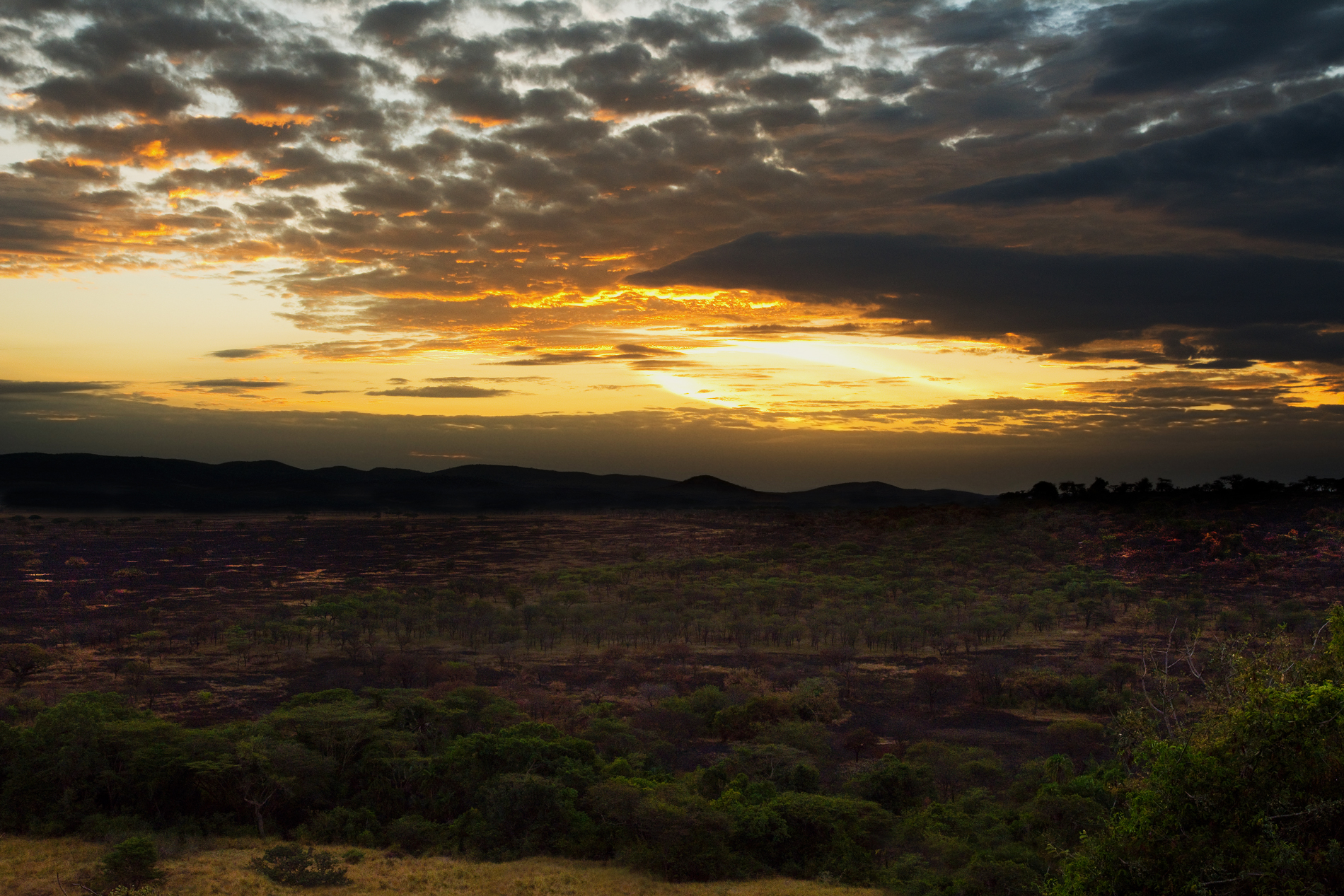 Tramonto nel Serengeti