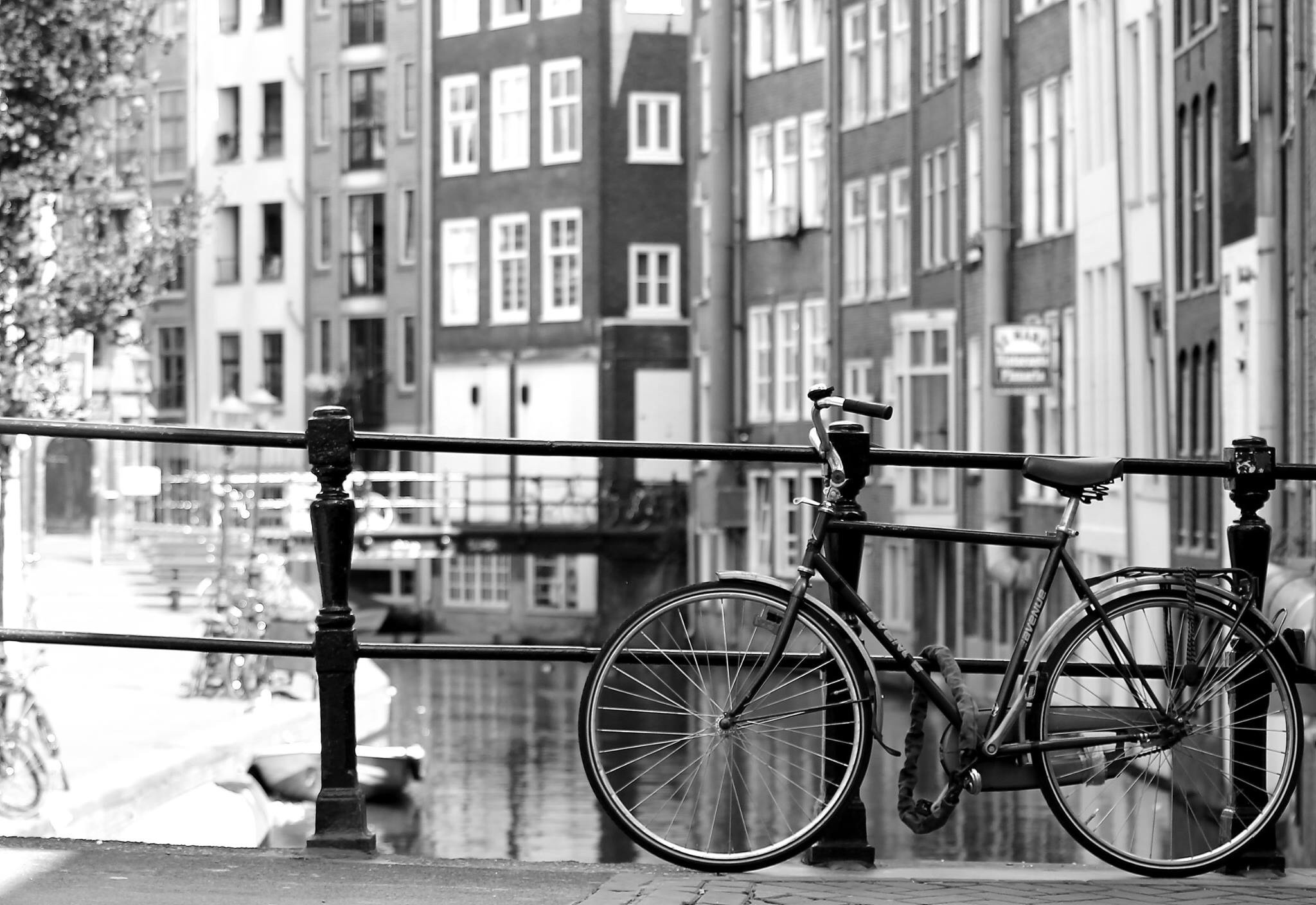 Amsterdam...capitale in bicicletta