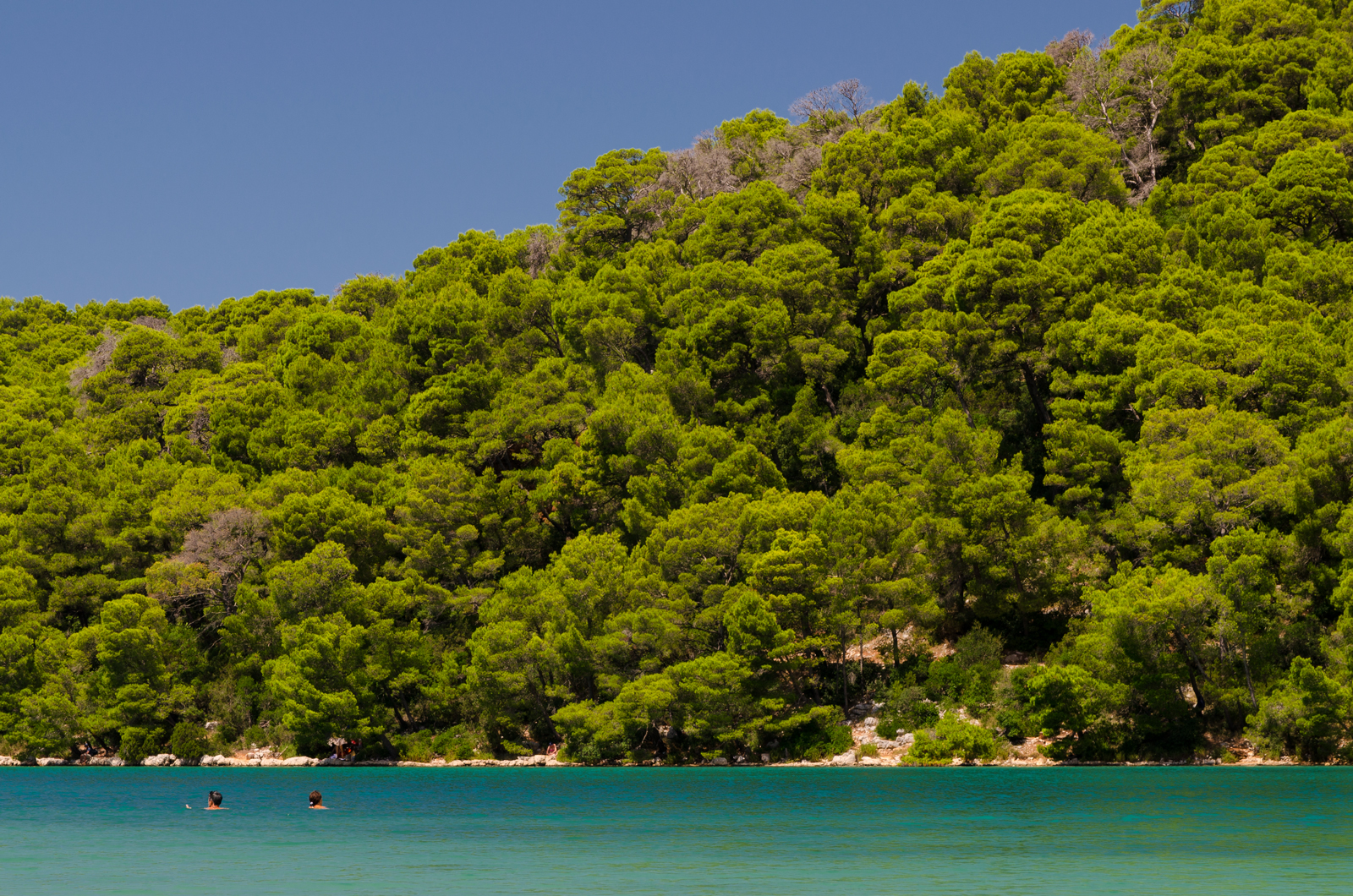 Isola di Mljet (Malo Jezero)