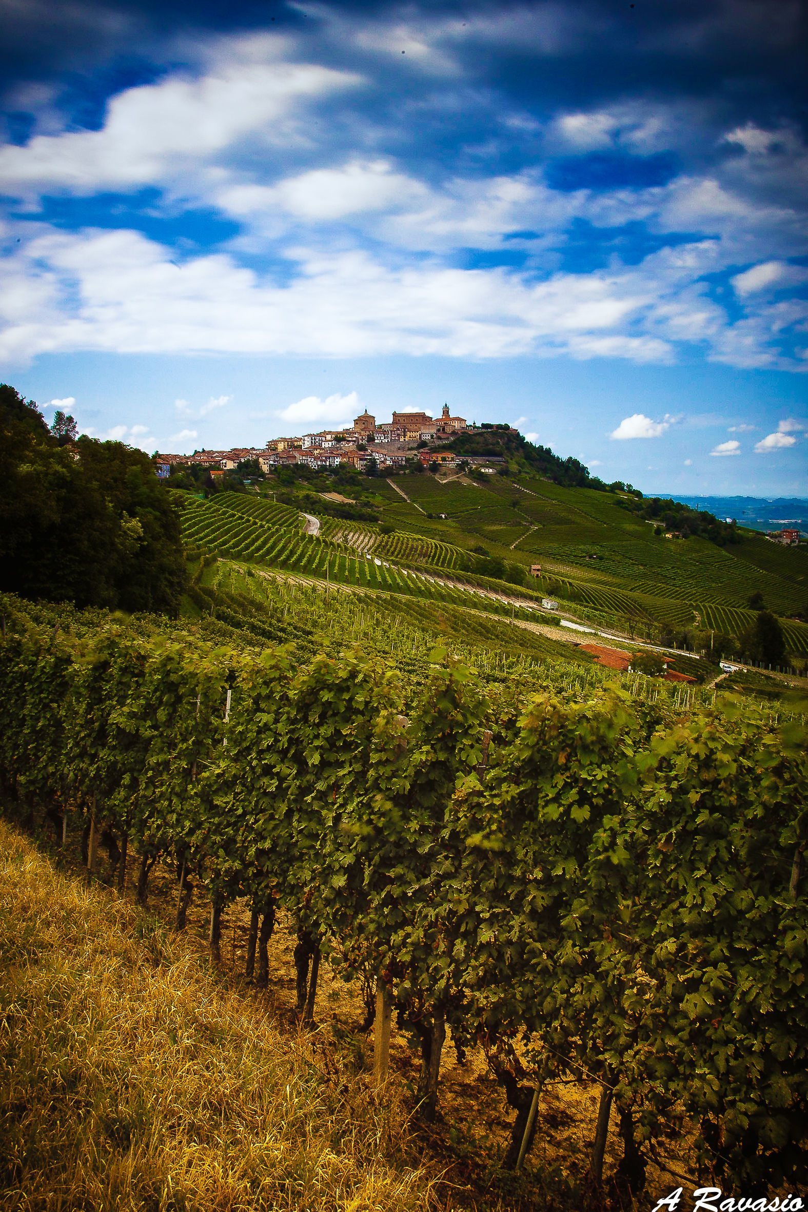 un giro per le Langhe