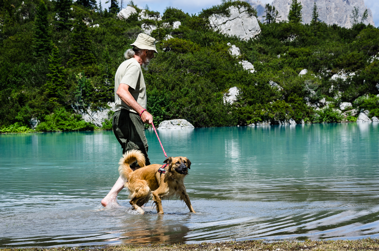 Oh, oh! I bled higher vision of a cat ...