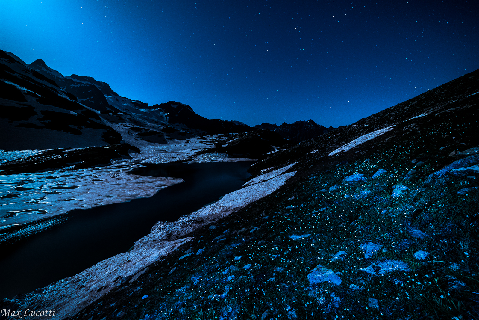 Come stelle sul prato