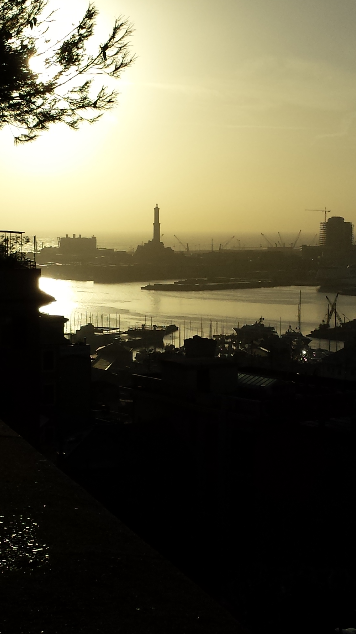 Genoa. From the esplanade Castelletto.