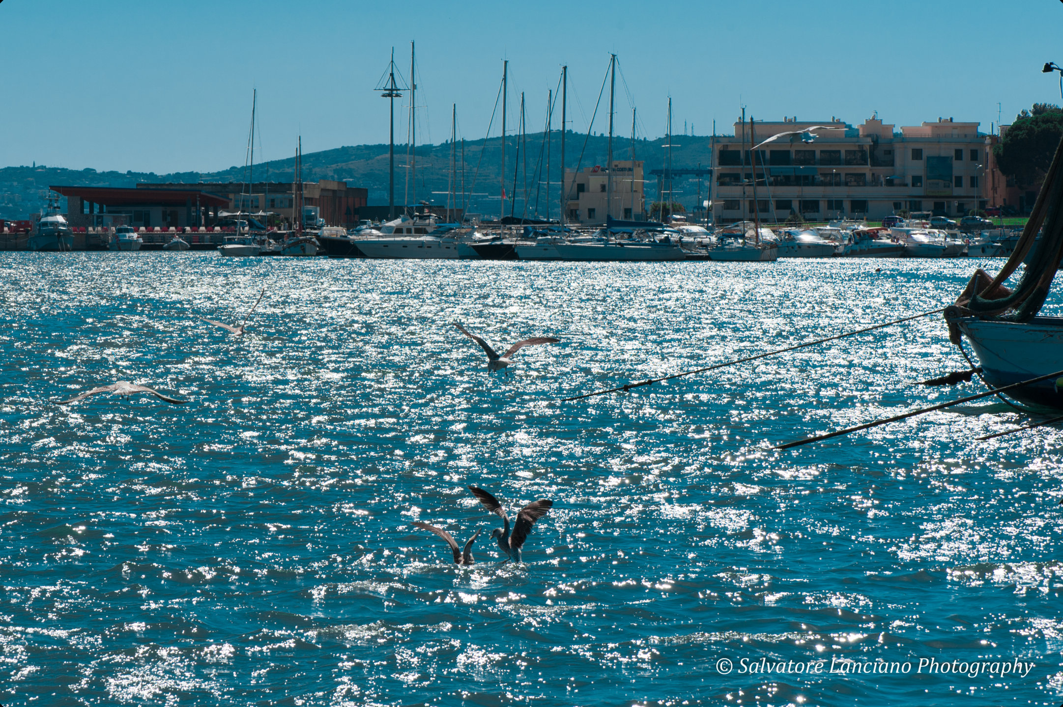 L'ora della pappa - Formia(LT)
