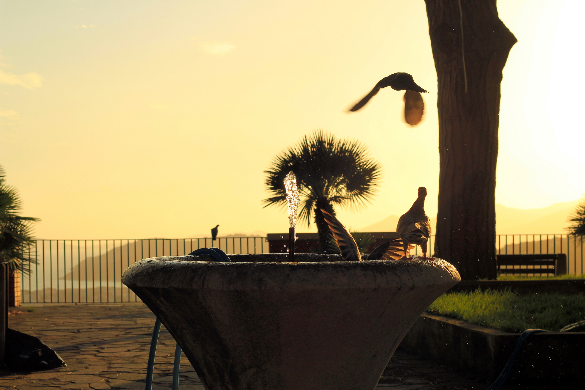 municipal gardens, minturno