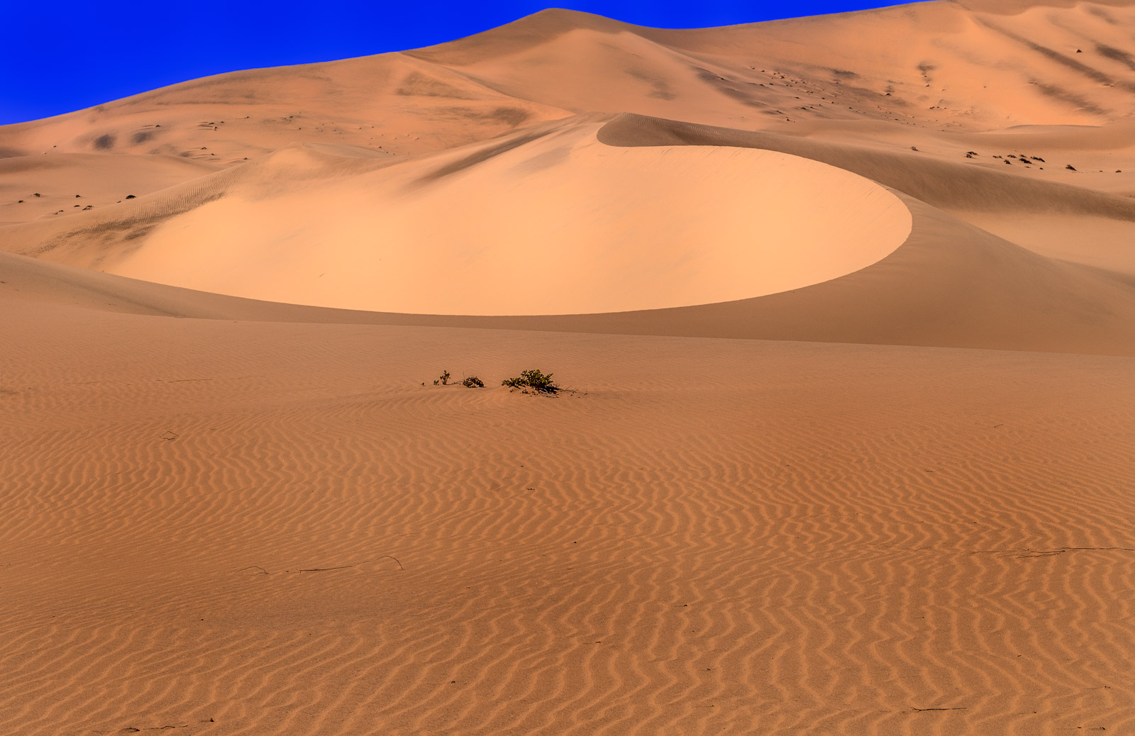 Namib Desert