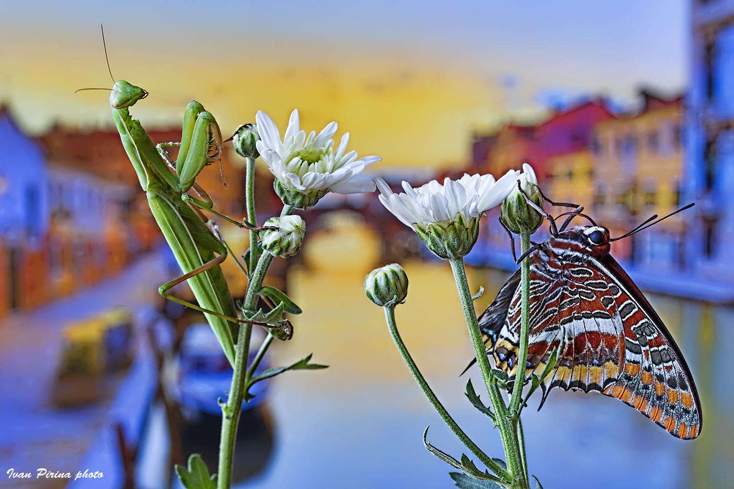 Amori veneziani impossibili