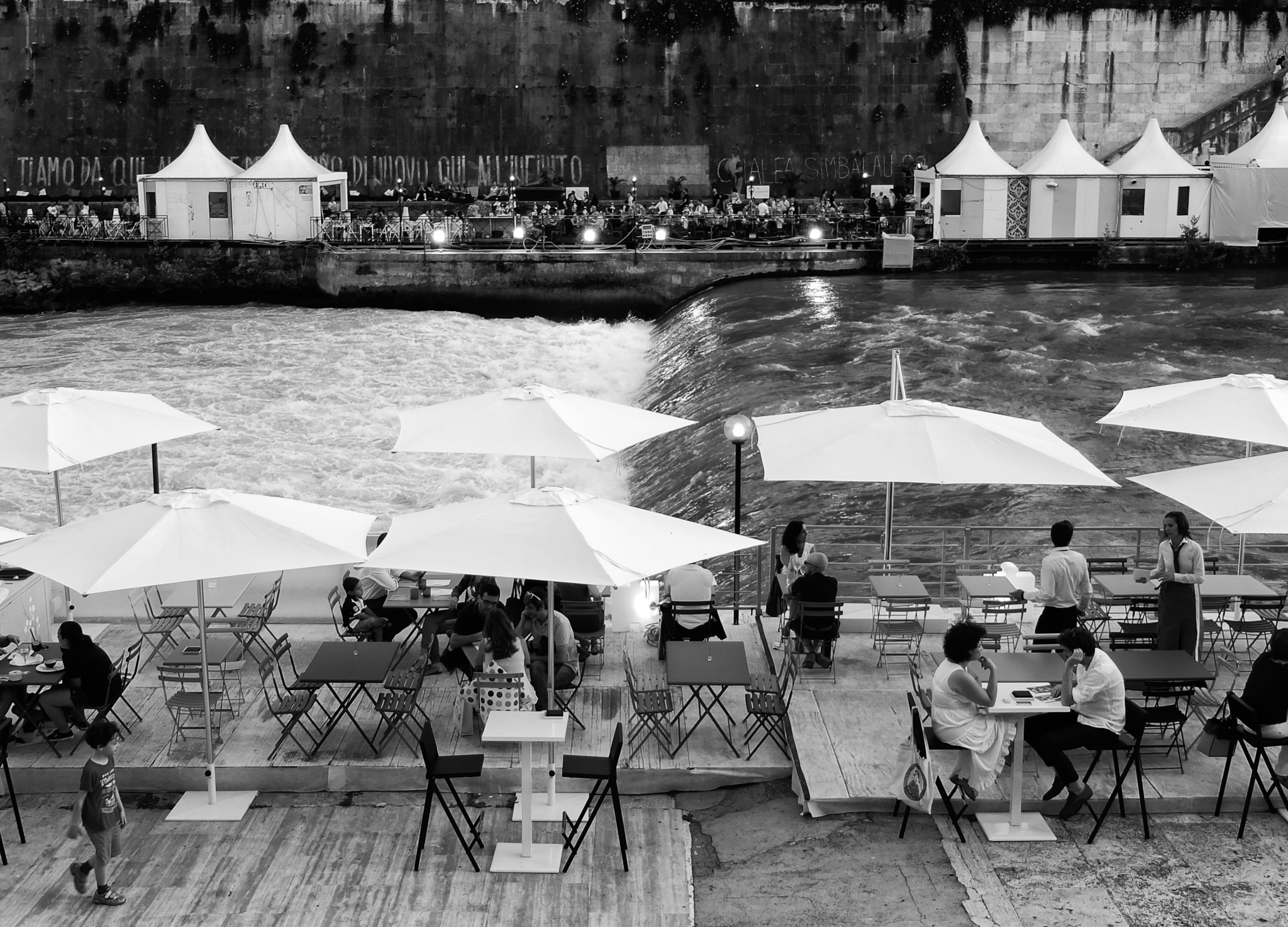 Tiber River bicolor ..