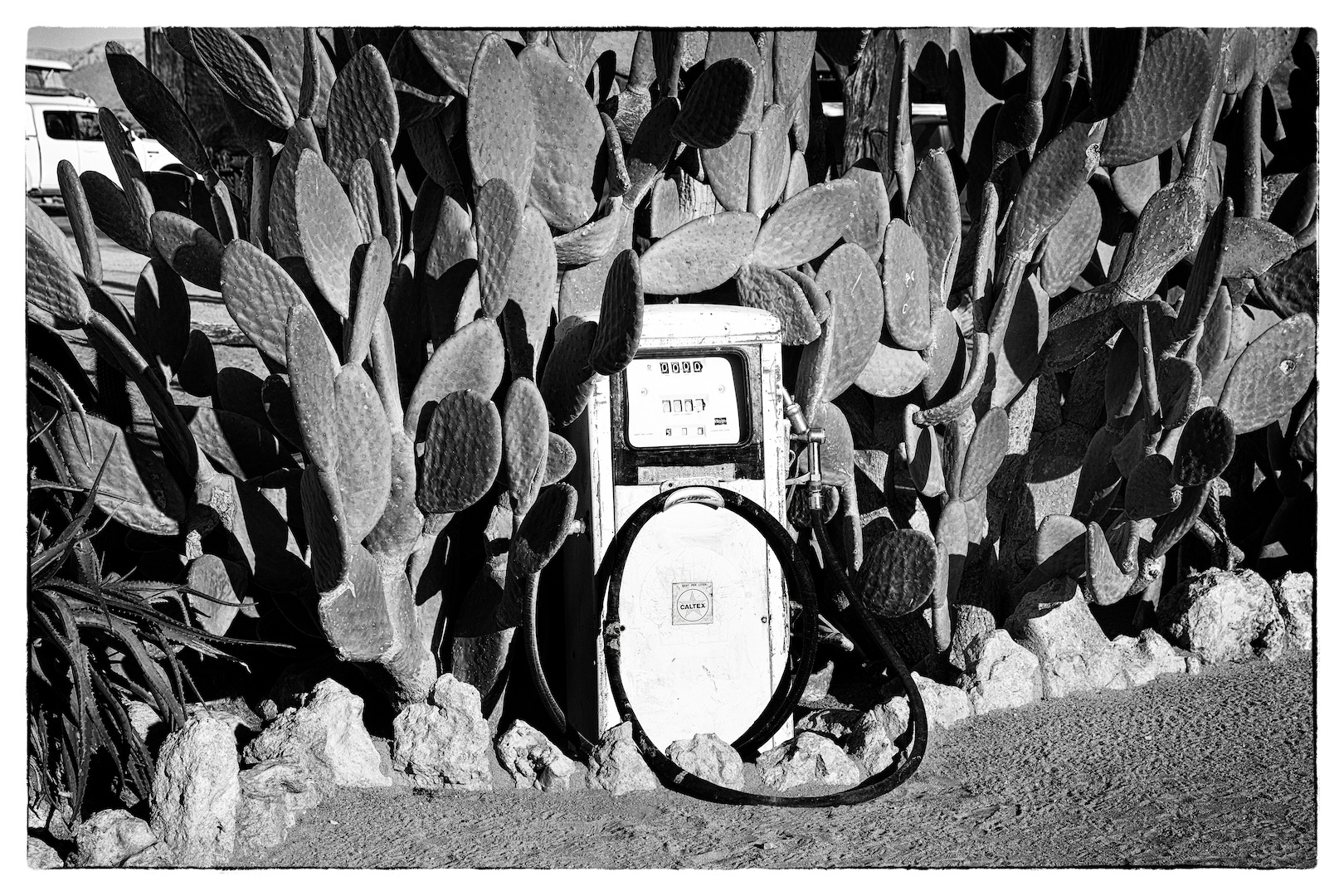 Still Life ... or almost