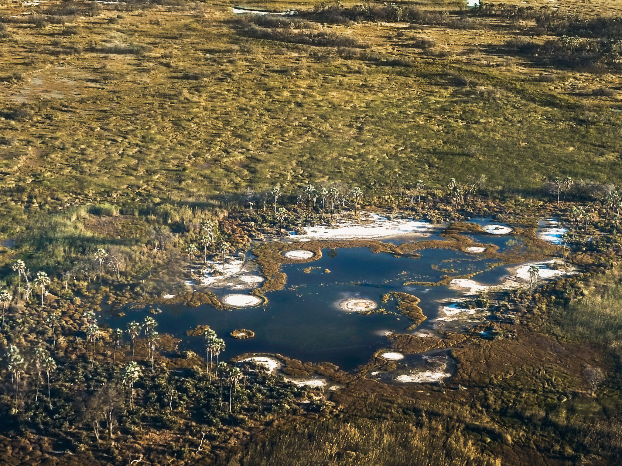 Okavango Delta