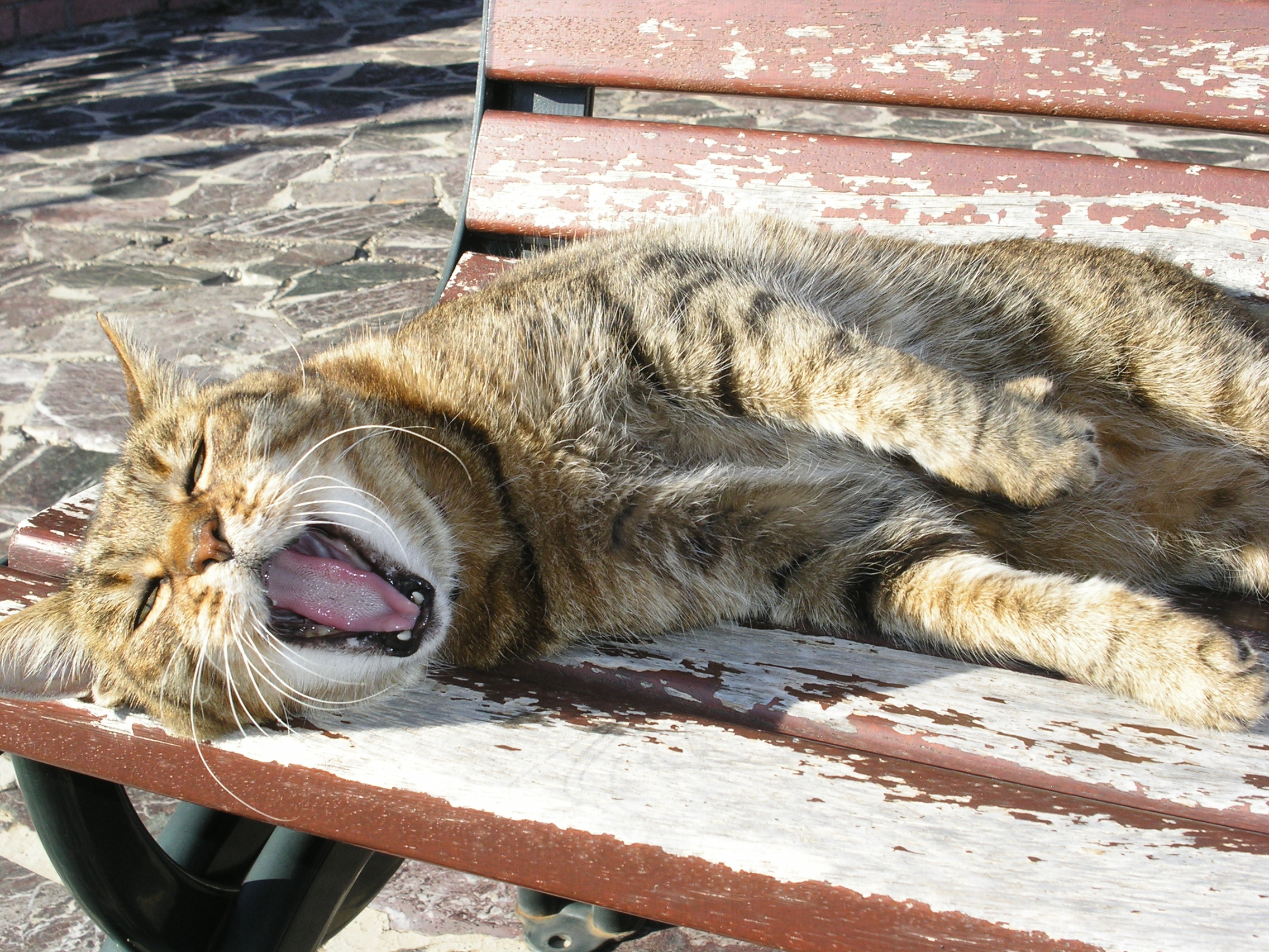 Come è dura la vita