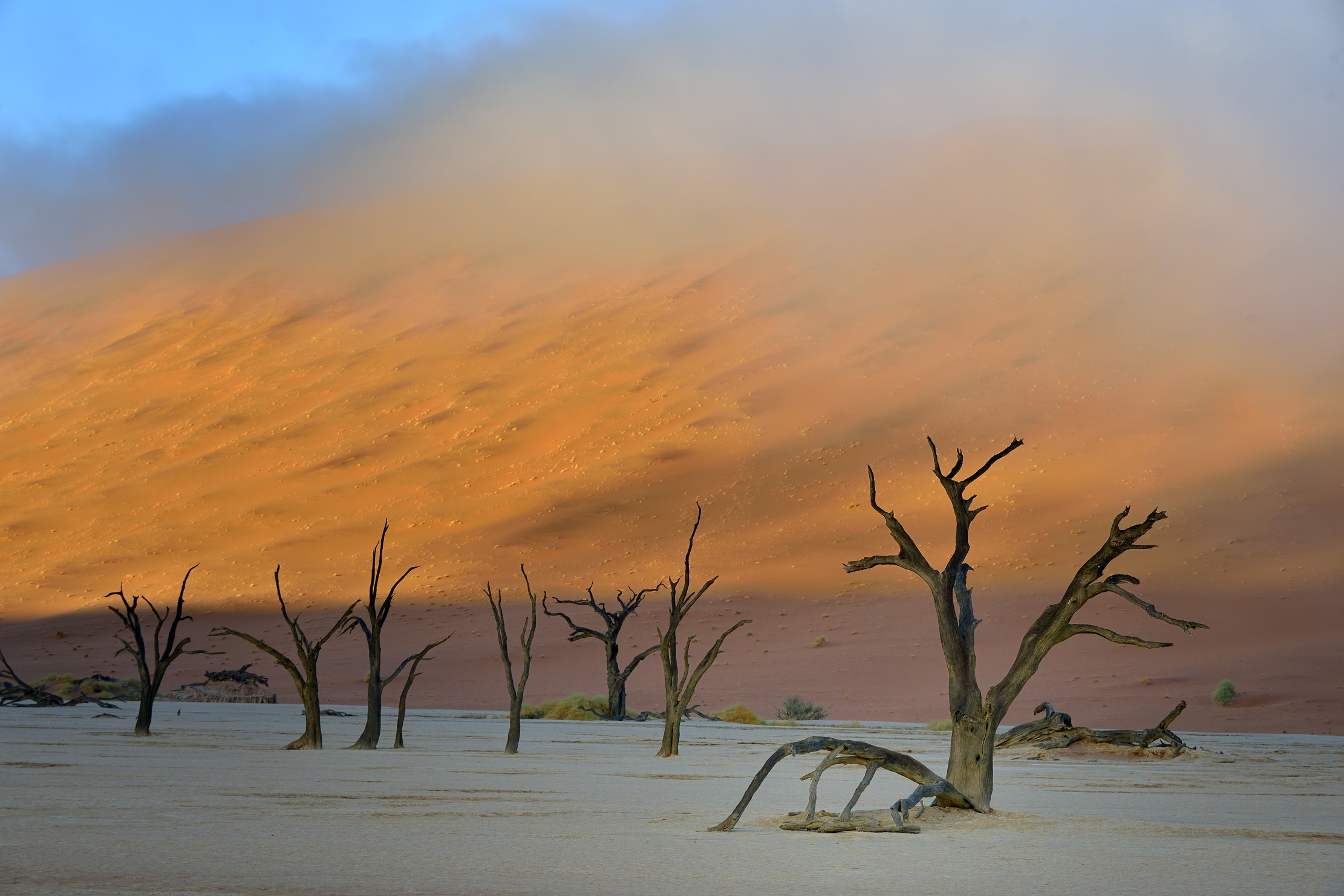 Deserto del Namib - Deadvlei