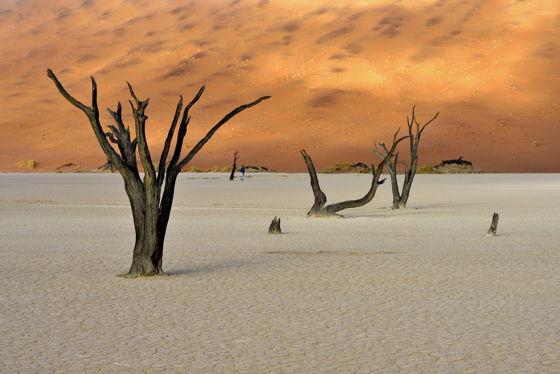 Deserto del Namib - Deadvlei