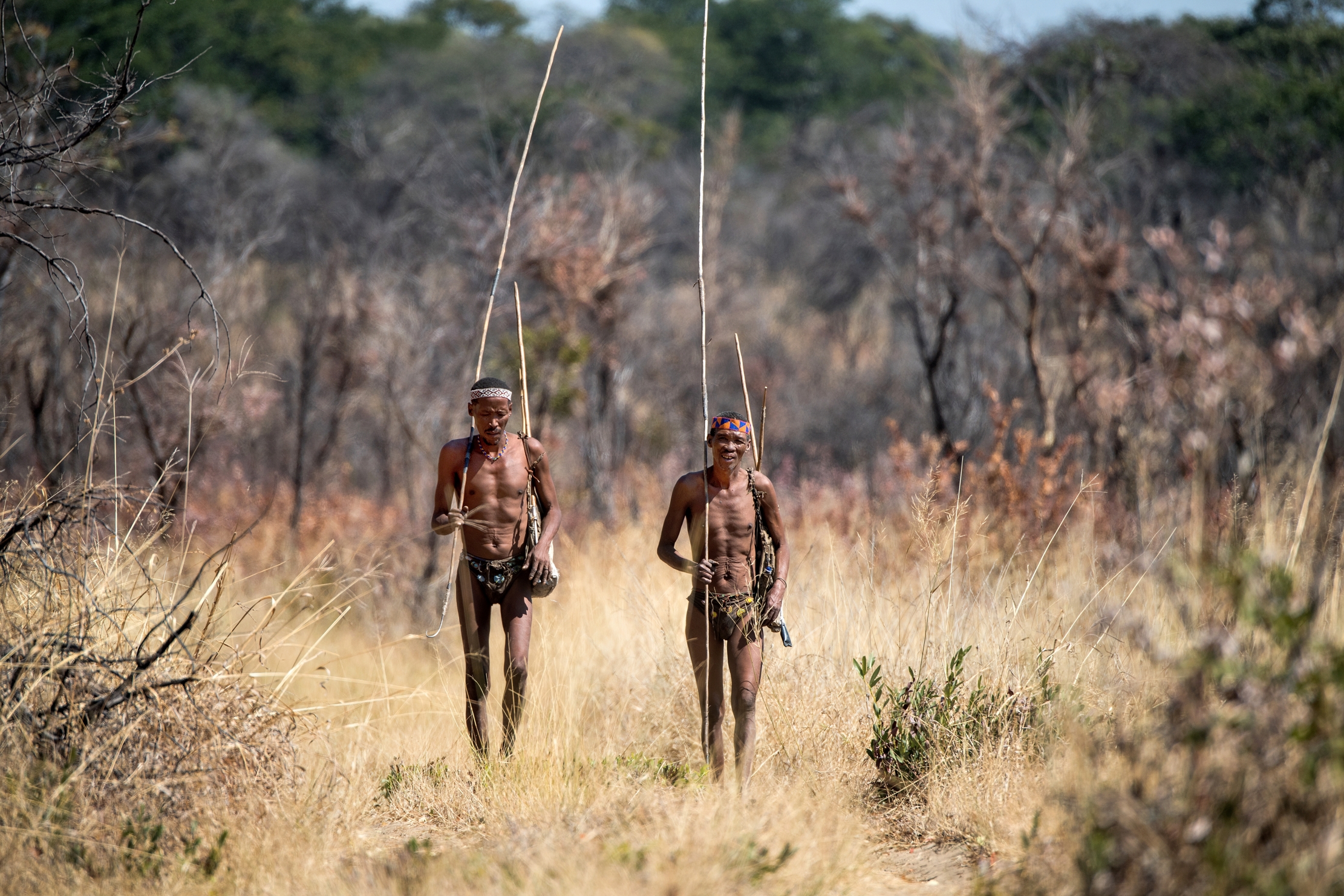 Bushmanland - Cacciatori boscimani