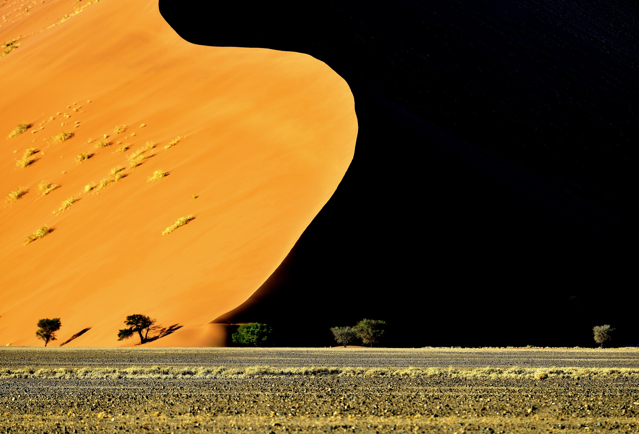 Deserto del Namib