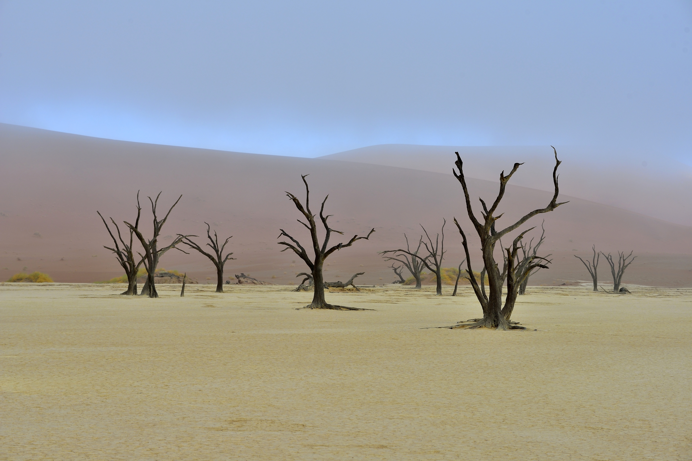 Deserto del Namib - Deadvlei