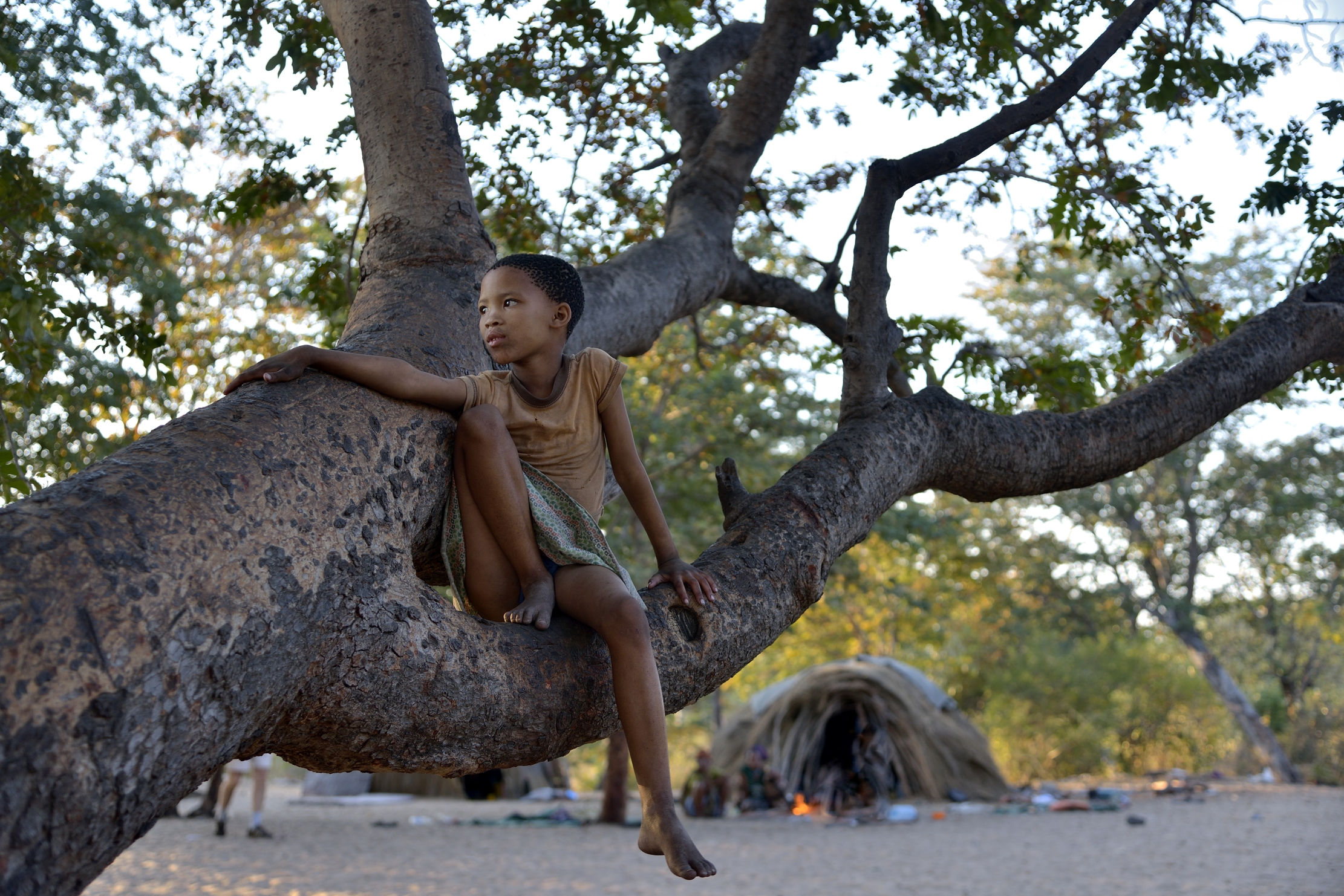 Bushmanland - Giovane star Boscimane