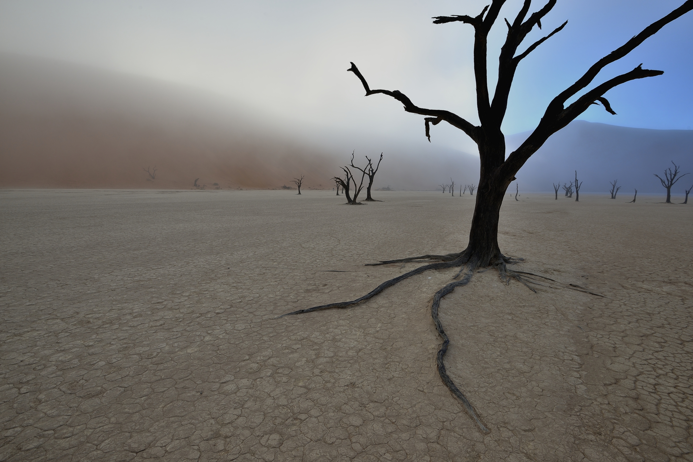 Deserto del Namib - Deadvlei