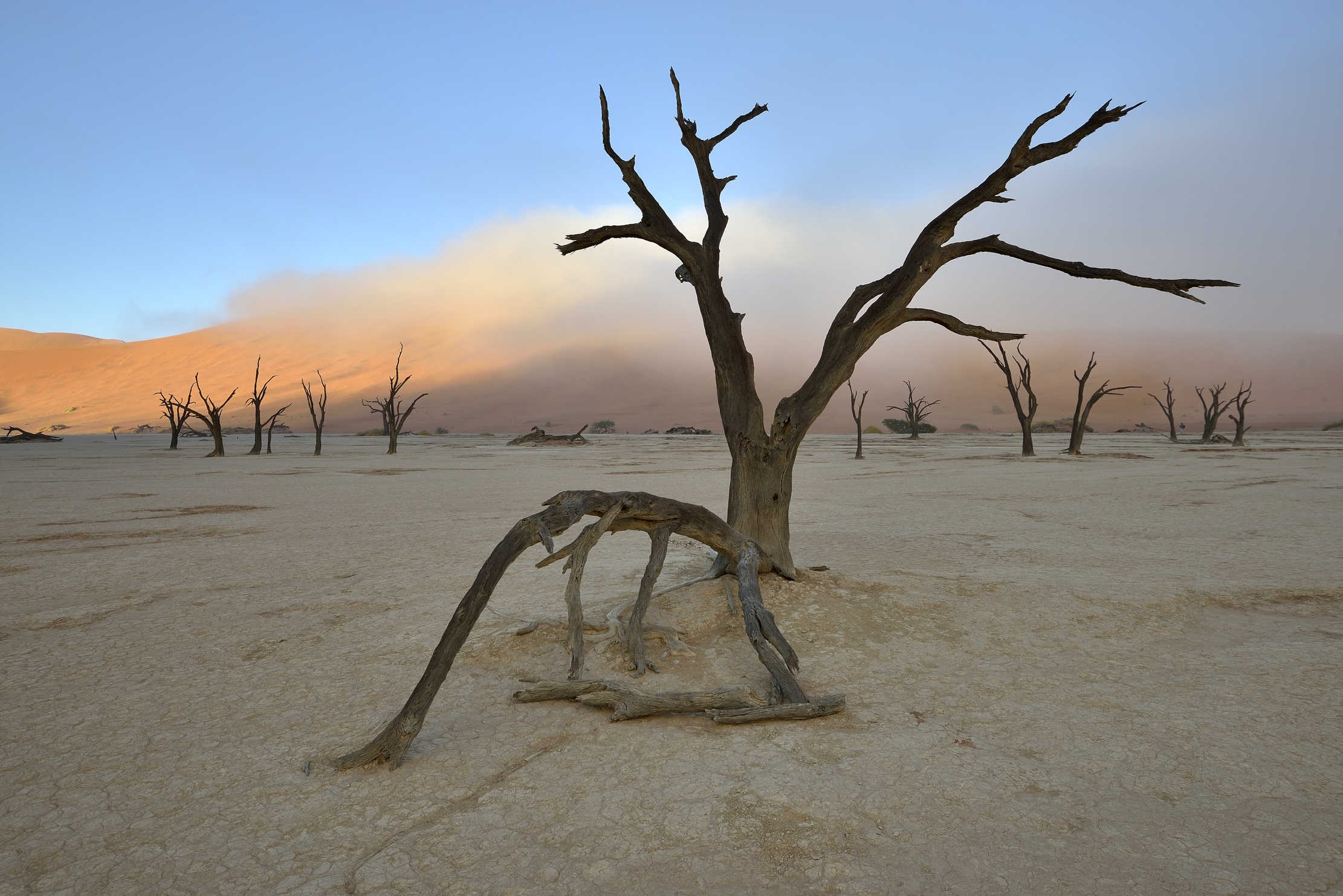 Deserto del Namib - Deadvlei
