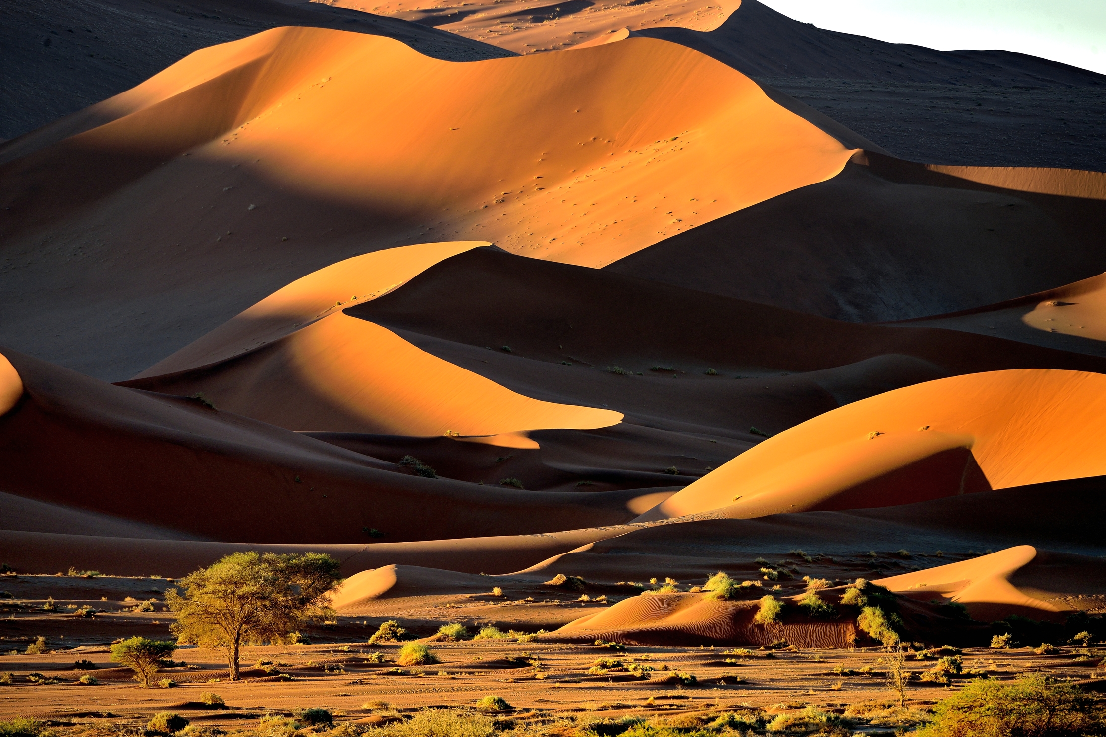 Deserto del Namib