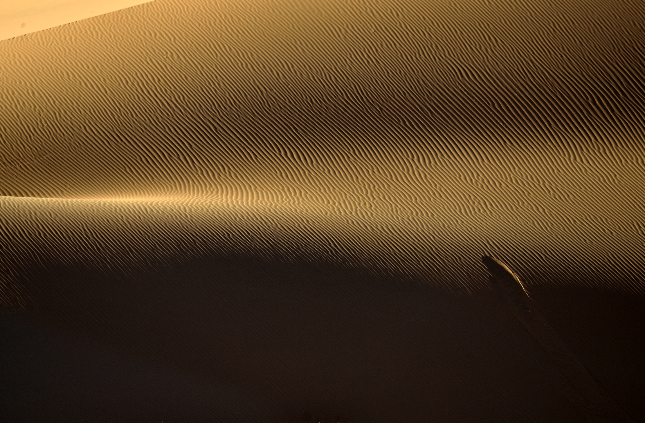 Deserto del Namib - Disegni sulle dune