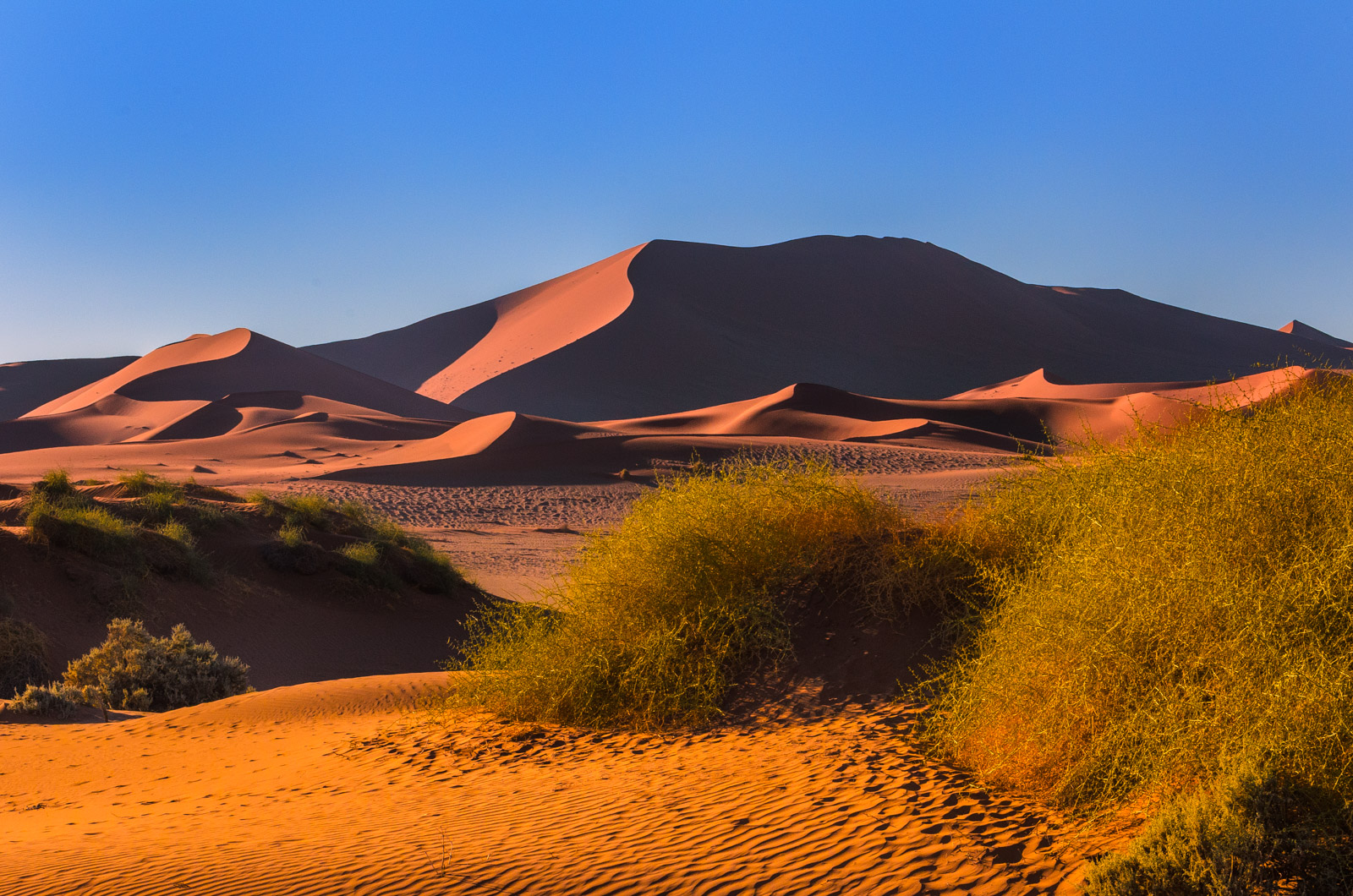 Namib Desert