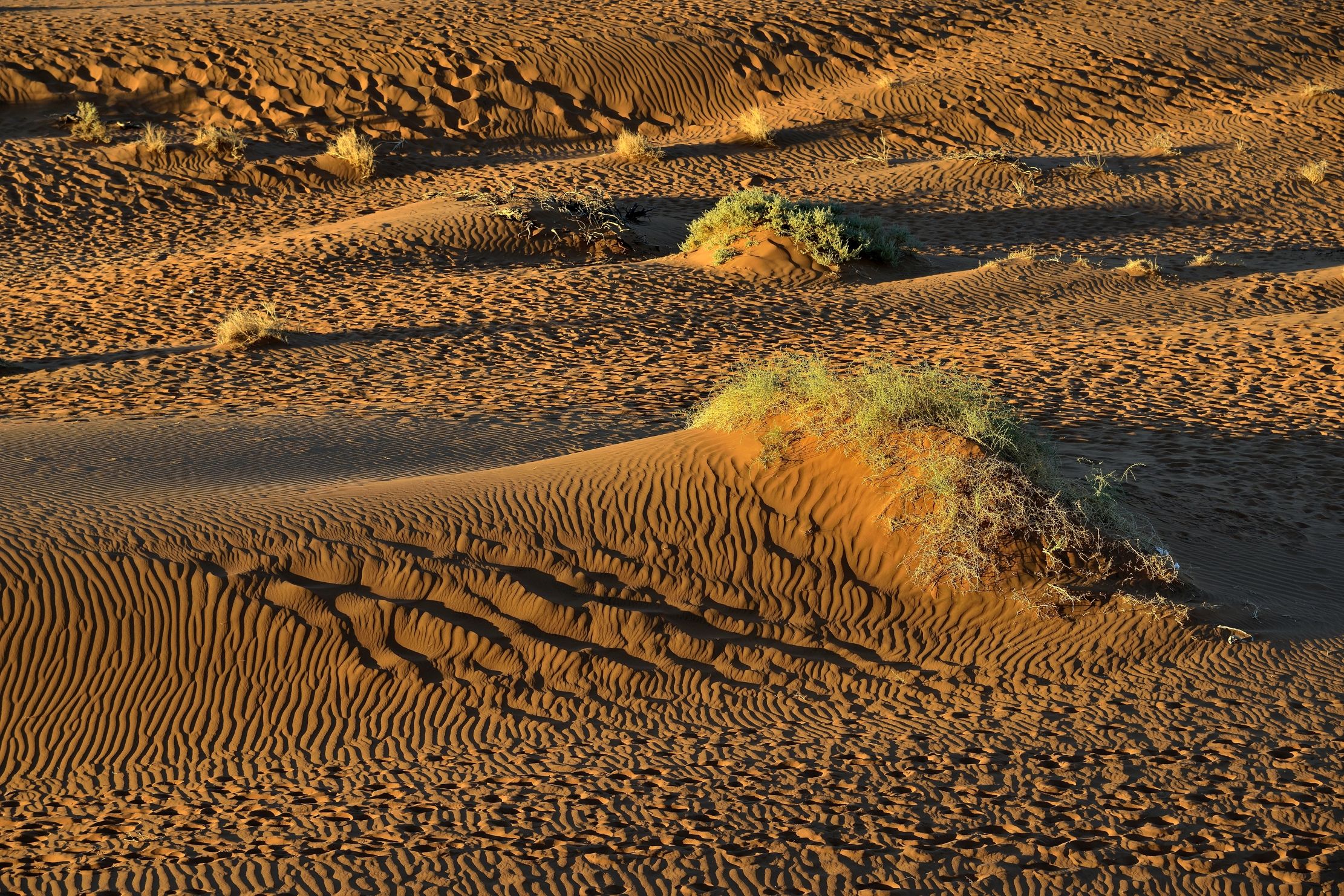 Deserto del Namib - Sossusvlei