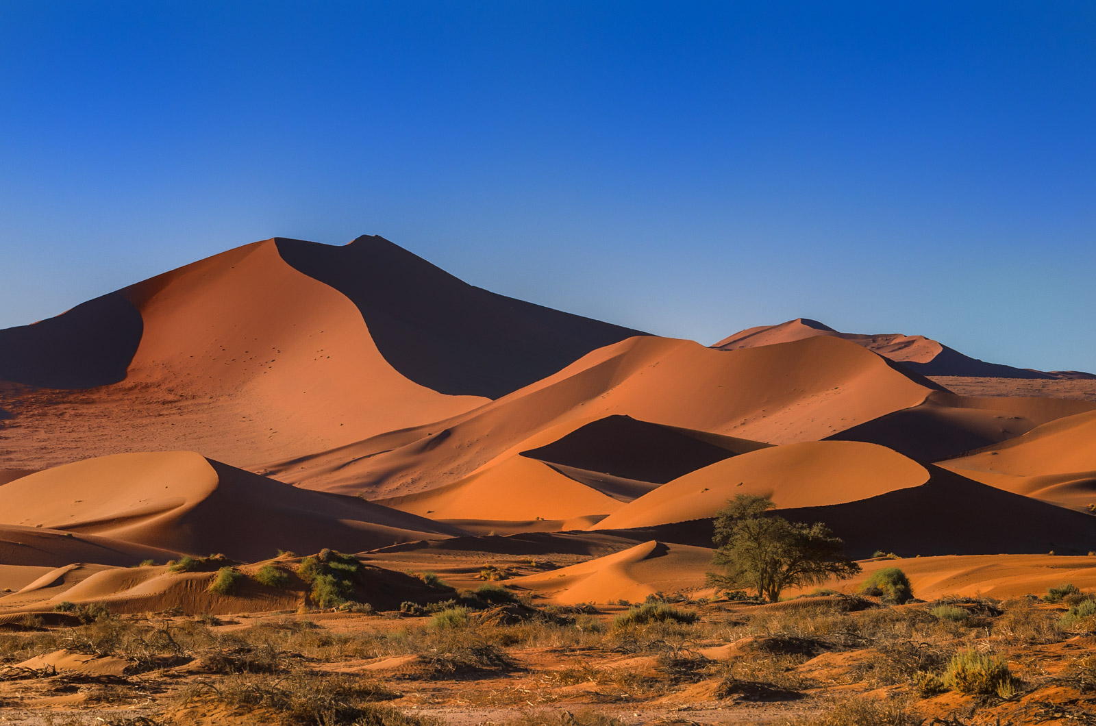 Namibian Dunes