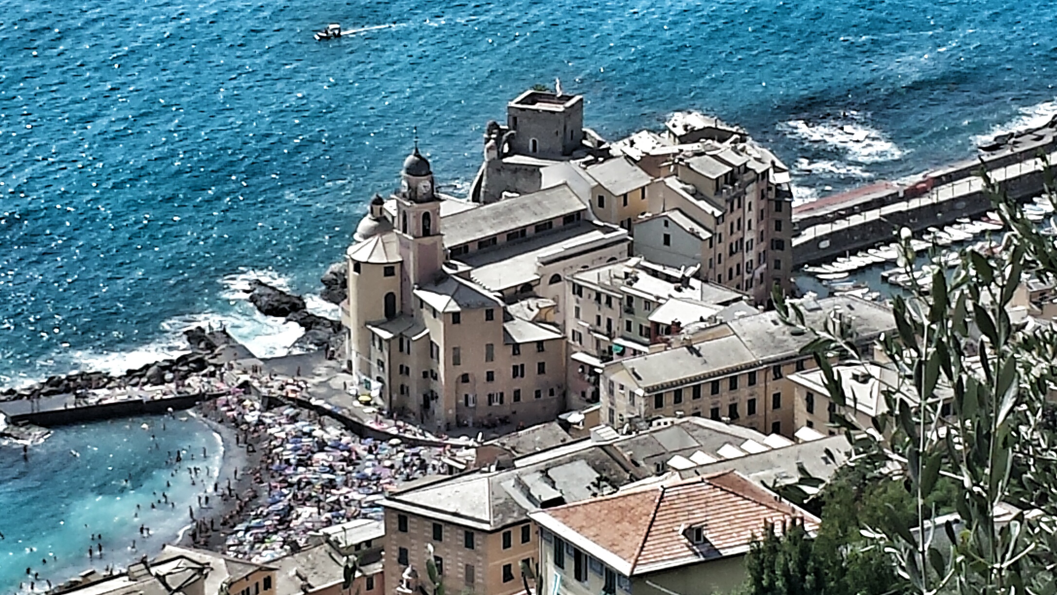 Sabbo to Camoggi (trad. Saturday to Camogli)