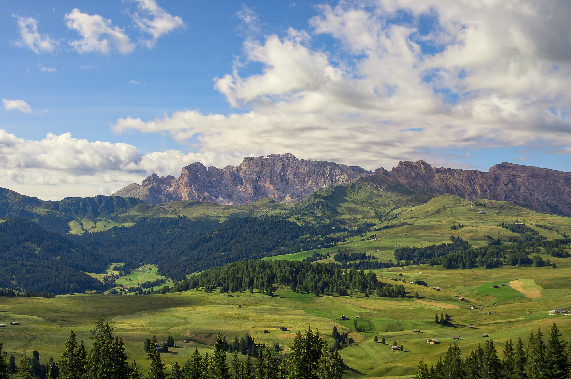 The catinaccio Alpe di Siusi