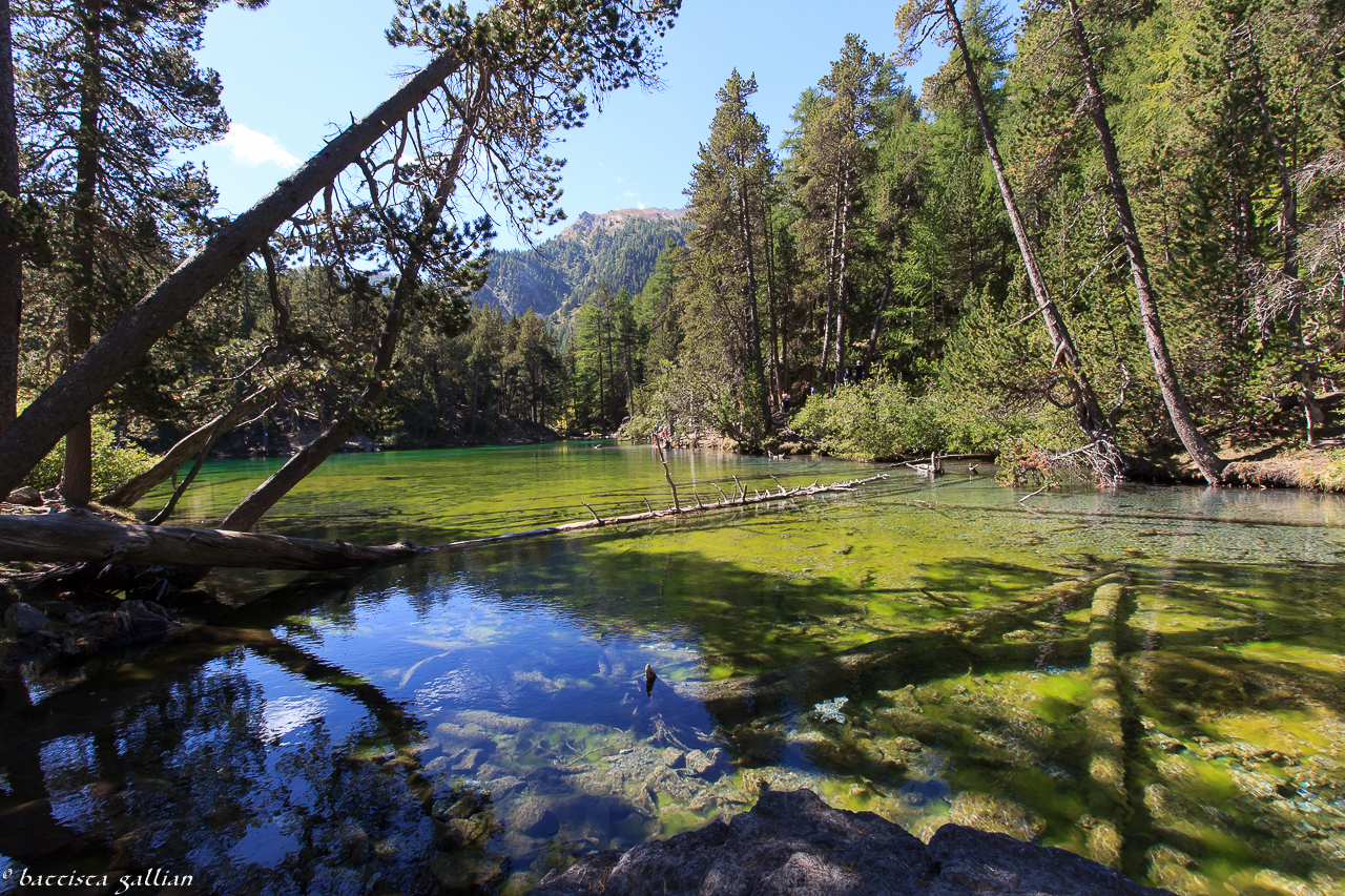 Lake Verde Valley Close