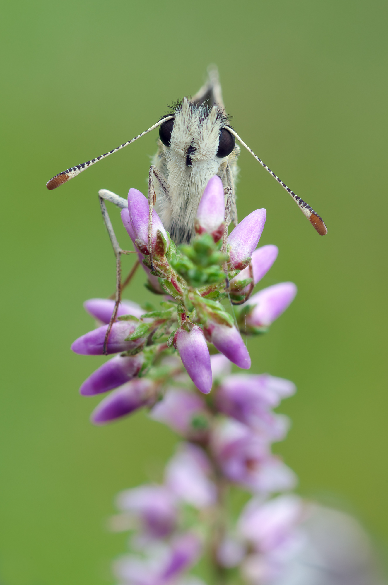 Just shoot, then leave me alone...