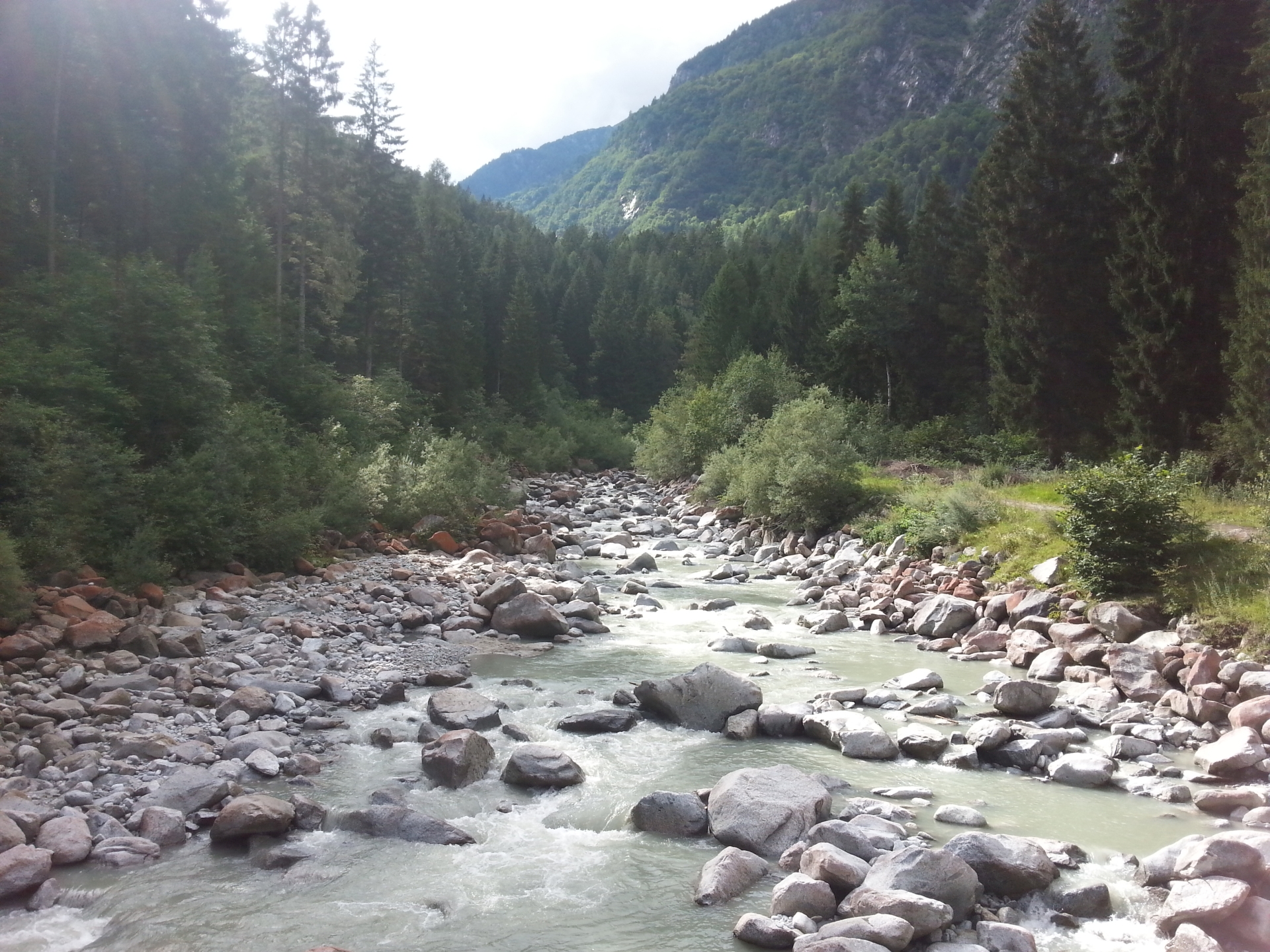 Fiume Sarca in val di Genova(TN)