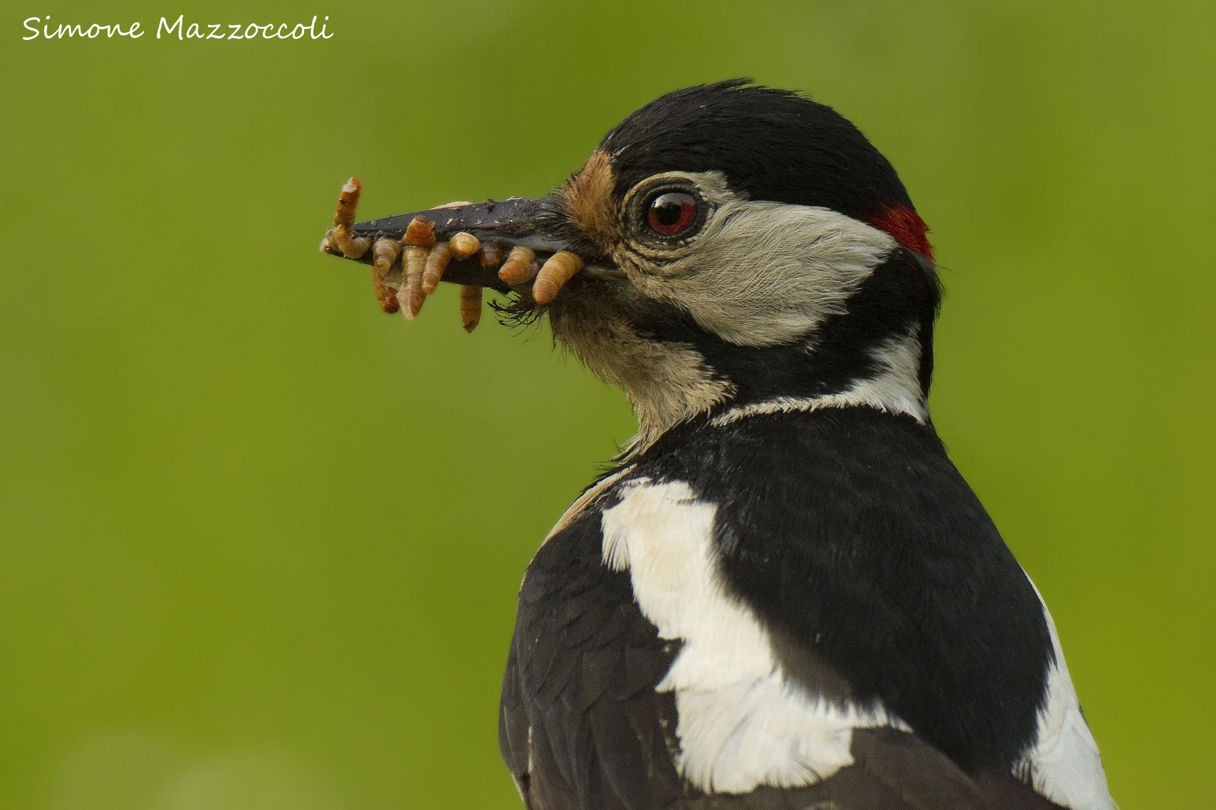 Portrait of a caring dad